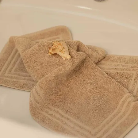 شقة Strandvilla 17 - Seenelke بابي